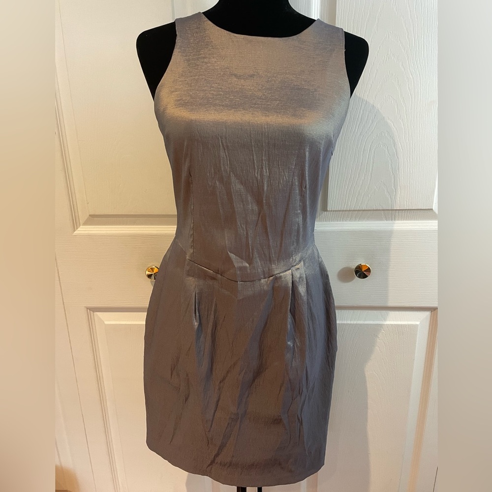 Many Belles Down Metallic Gray Dress Size Large